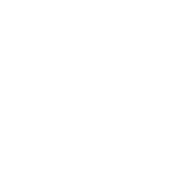 Logo Aldo